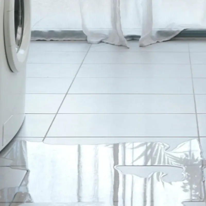 Appliance Leak Cleanup in Inverness, IL